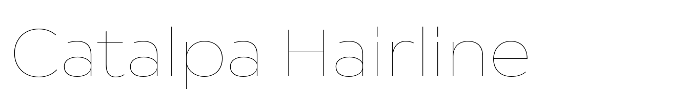 Catalpa Hairline